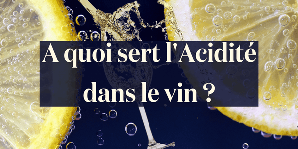 A quoi sert l'Acidité dans le vin ? - Le Baroudeur du Vin