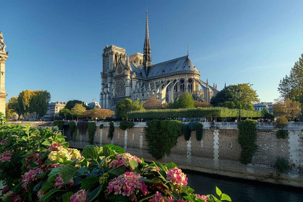 Notre-Dame réouvre... avec du vin nature ! L'étonnante célébration qui choque Paris